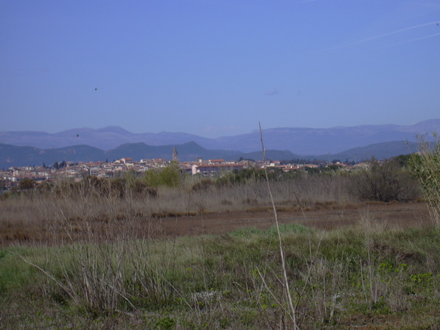 DSCN0163