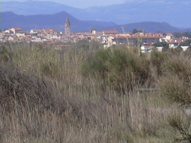 DSCN0154