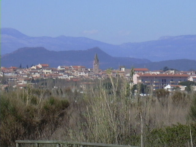DSCN0155