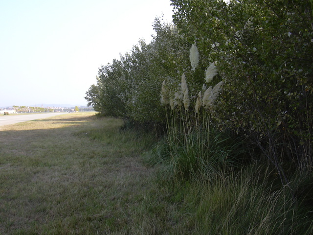 DSCN0189