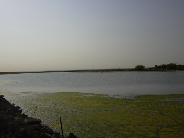 DSCN0192