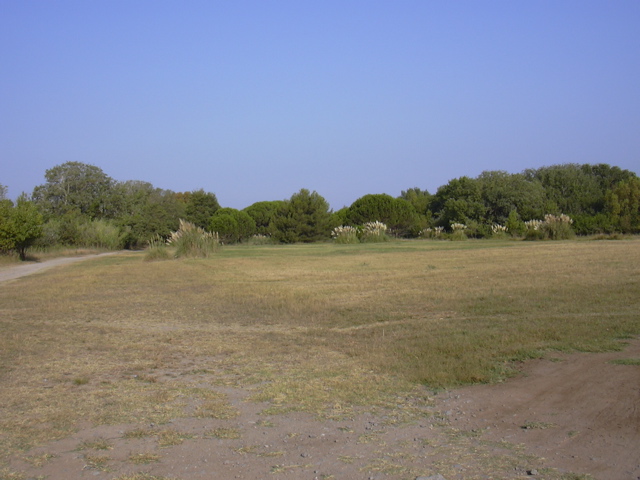 DSCN0194