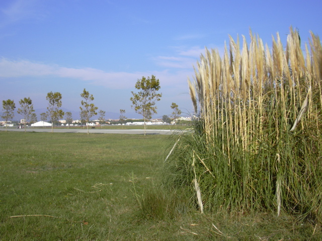 DSCN0403