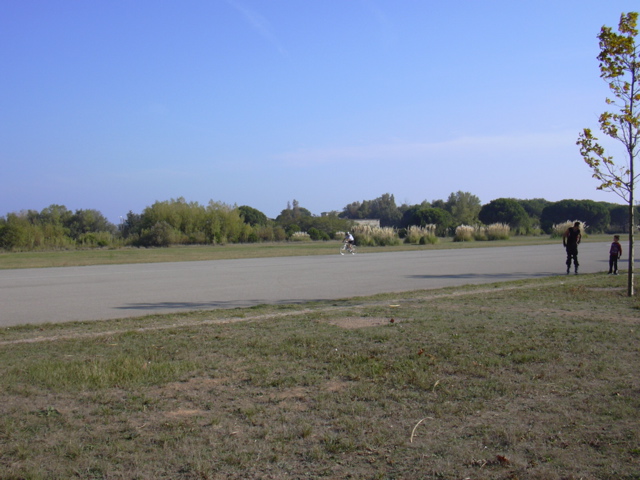DSCN0407