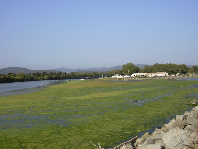 DSCN0191