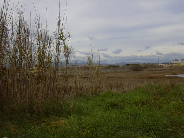 DSCN0179.JPG