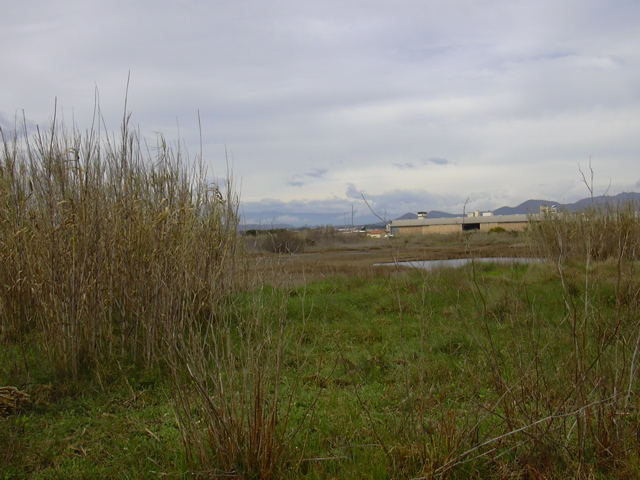 DSCN0181.JPG