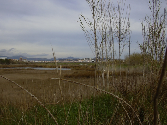 DSCN0183.JPG