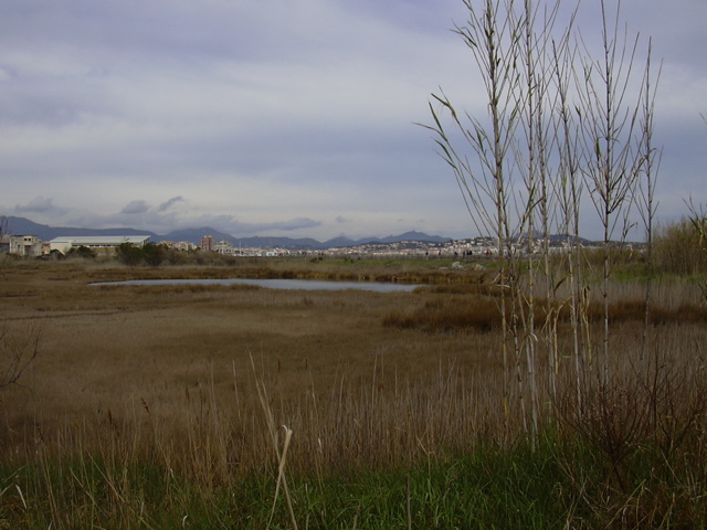 DSCN0184.JPG