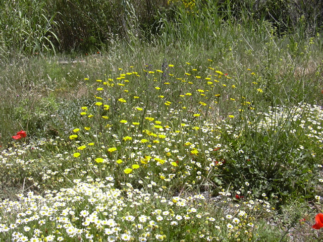 DSCN0235.JPG