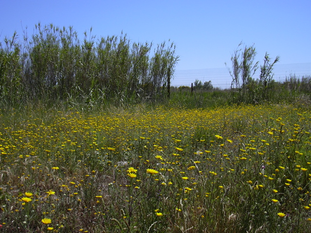 DSCN0237.JPG