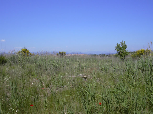 DSCN0238.JPG