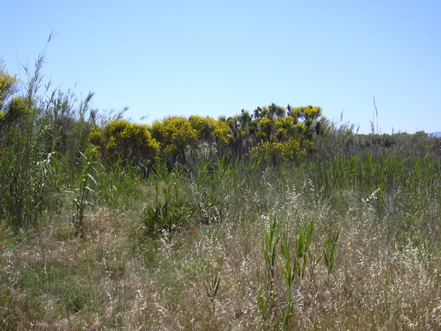 DSCN0239.JPG