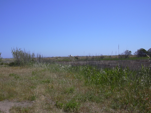 DSCN0240.JPG