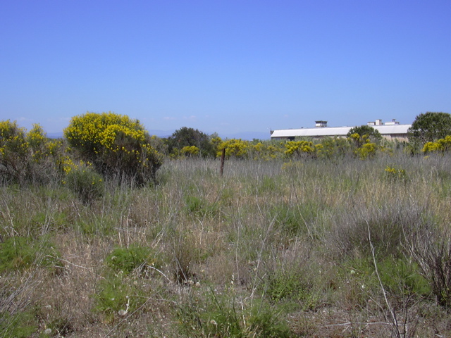 DSCN0247.JPG