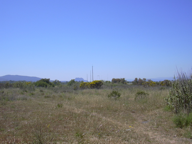 DSCN0250.JPG