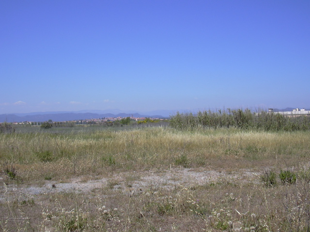 DSCN0252.JPG