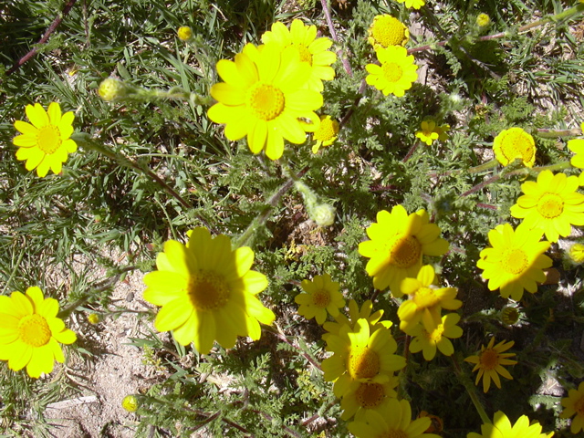 DSCN0251.JPG