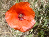 DSCN0263.JPG