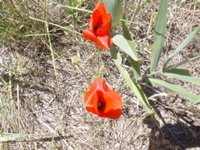 DSCN0255.JPG