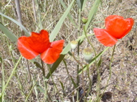 DSCN0256.JPG