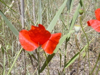 DSCN0257.JPG