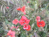 DSCN0279.JPG