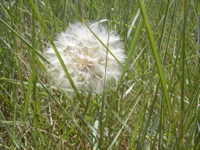 DSCN0260.JPG