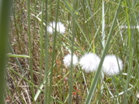 DSCN0261.JPG