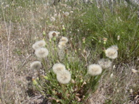 DSCN0267.JPG