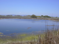 DSCN0258.JPG