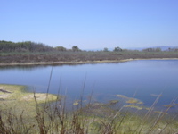 DSCN0259.JPG