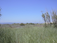 DSCN0266.JPG