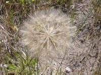 DSCN0268.JPG