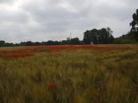 DSCN0277.JPG