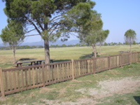 DSCN0148.JPG