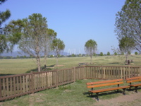 DSCN0149.JPG