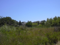 DSCN0239.JPG
