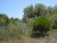 DSCN0240.JPG