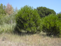 DSCN0242.JPG