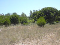 DSCN0243.JPG