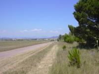 DSCN0244.JPG