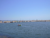 DSCN0246.JPG