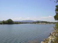 DSCN0248.JPG