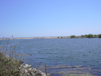 DSCN0251.JPG