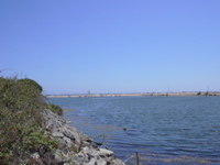 DSCN0252.JPG