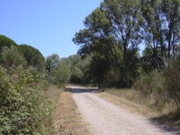 DSCN0253.JPG