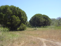 DSCN0255.JPG