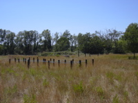 DSCN0256.JPG