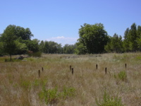 DSCN0257.JPG